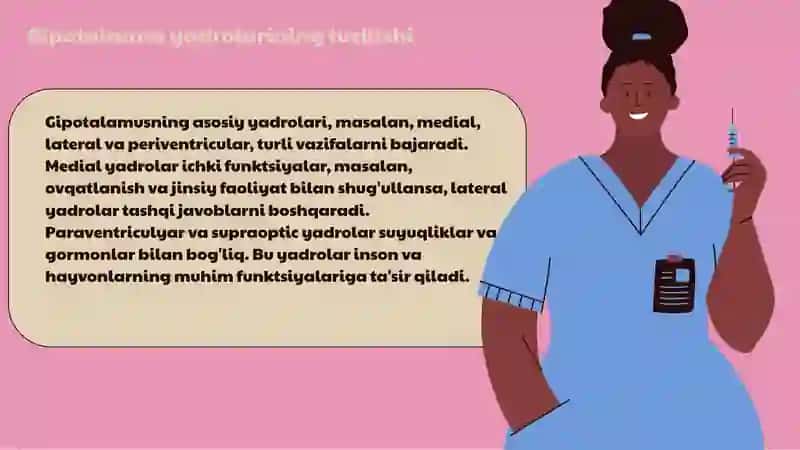 Gipotalamus yadrolarining anatomic tuzilishi va funktsiyalari 3
