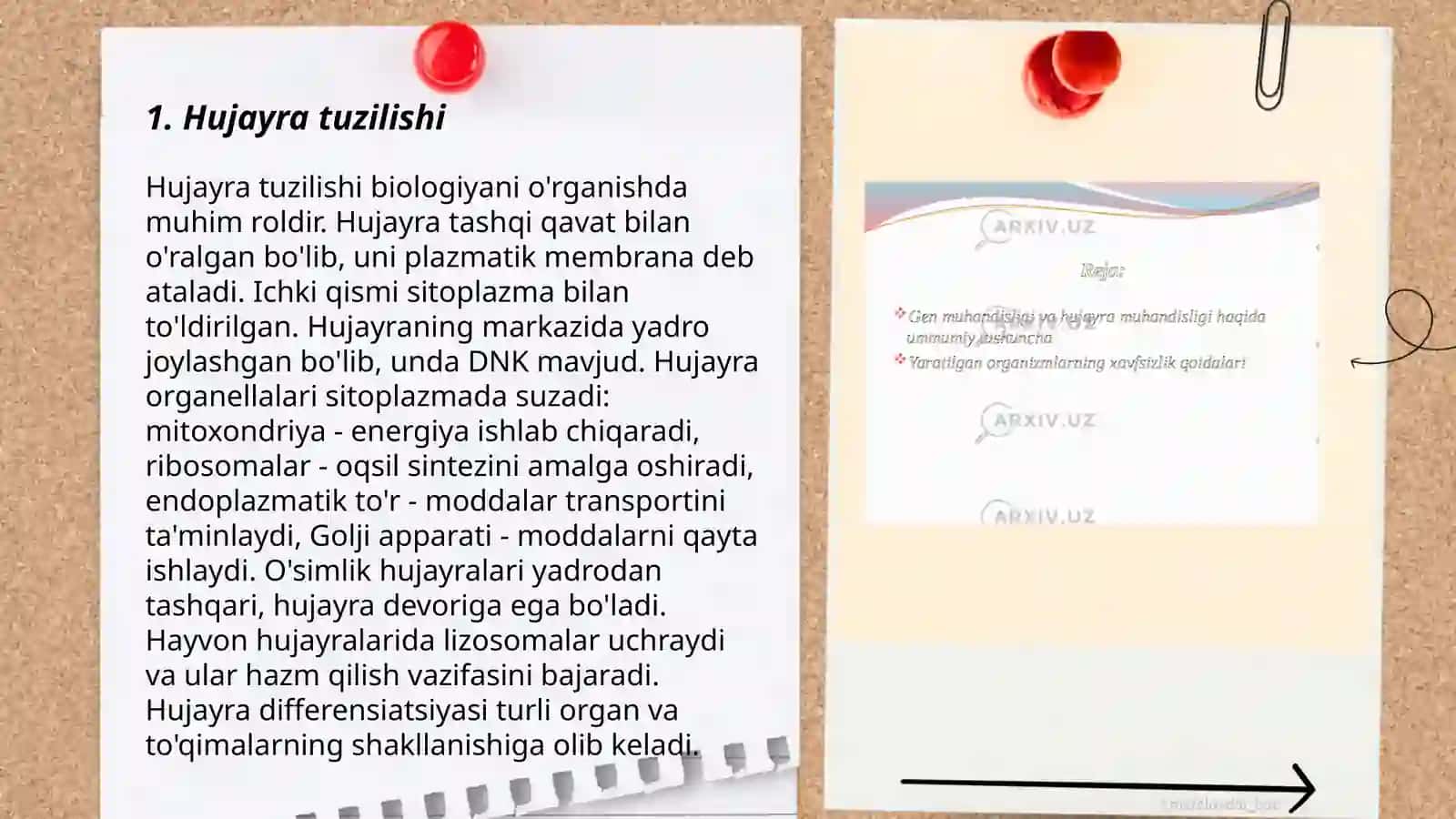 Hujayra muhandisligi 3