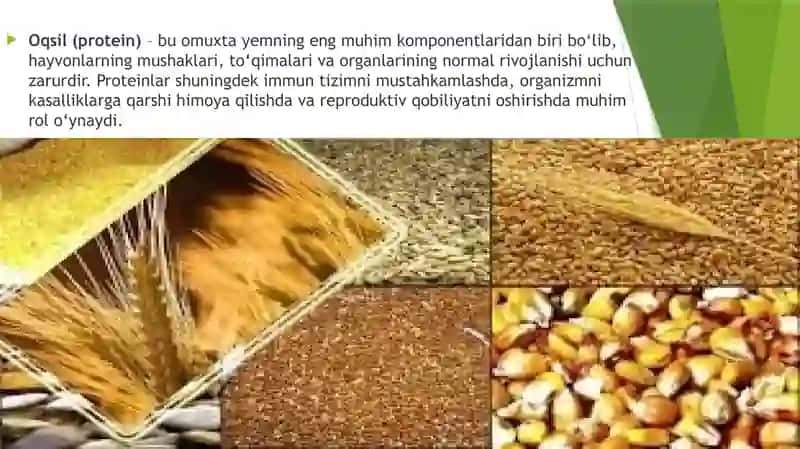 Omixta Yem kimyoviy tarkibi 3