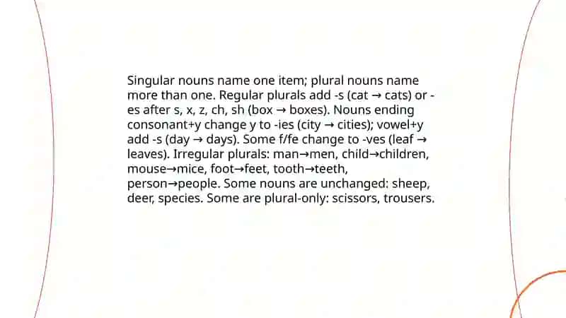 The category of numbers in English grammar 3