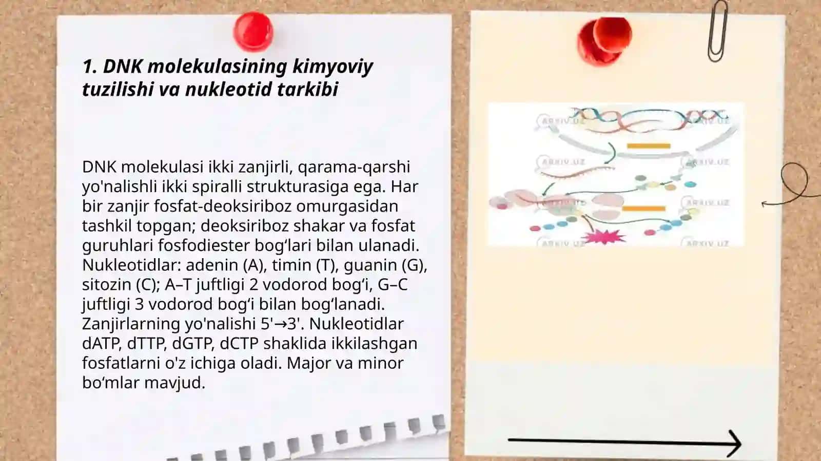 DNK sturukturasi va replikatsiyasi. Oqsil biosintezi 3
