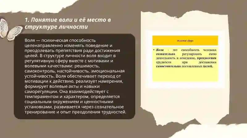 Личность и её волевая сфера 3