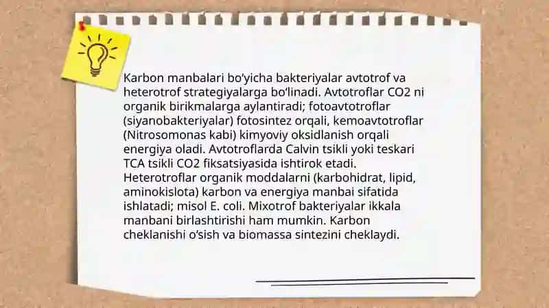 Mikroorganizmlar fiziologiyasi 3