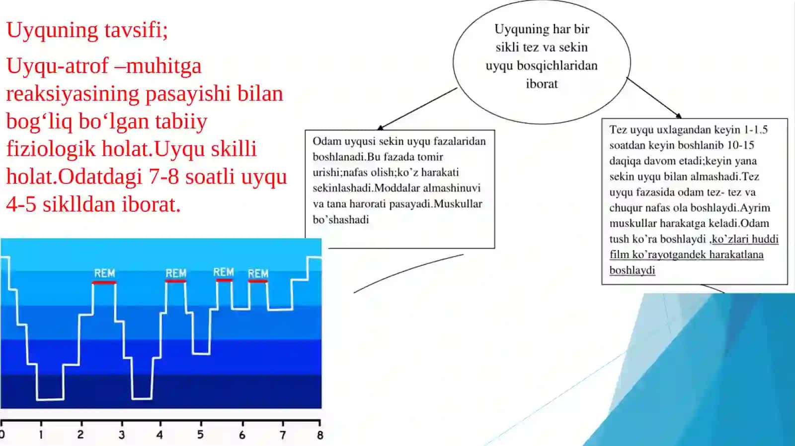 Uyqu va uning ahamiyati 3