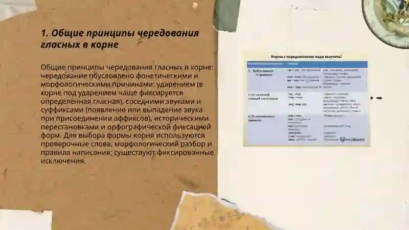 Корни с чередующимися гласными 3