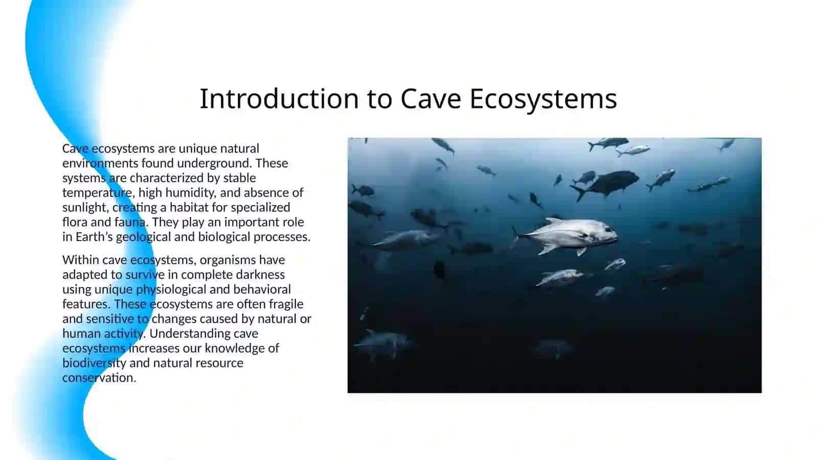 SPELOTOURISM AND RESOURCES OF THIS TYPES 3