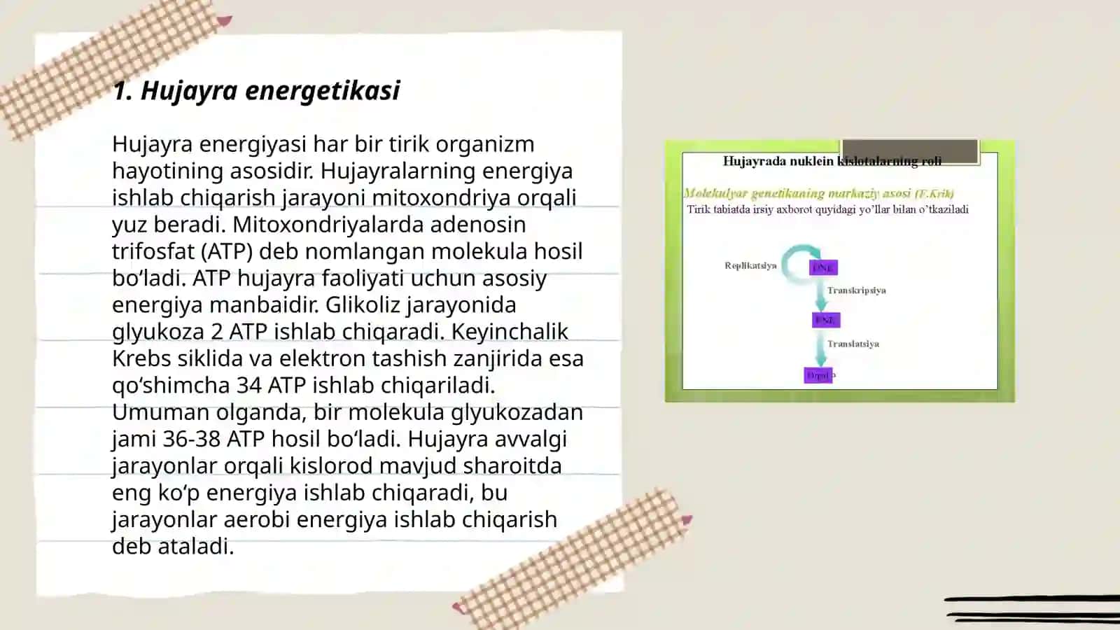 Hujayrada moddalar energiya va malimotlar oqimi 3