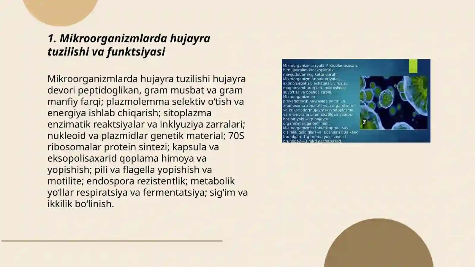 Mikroorganizimlar fiziologiyasi 3