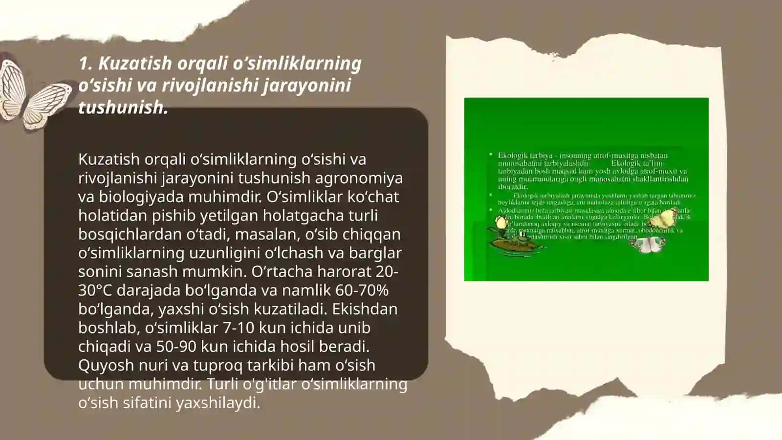 Ekologik madaniyatni shakllantirish 3