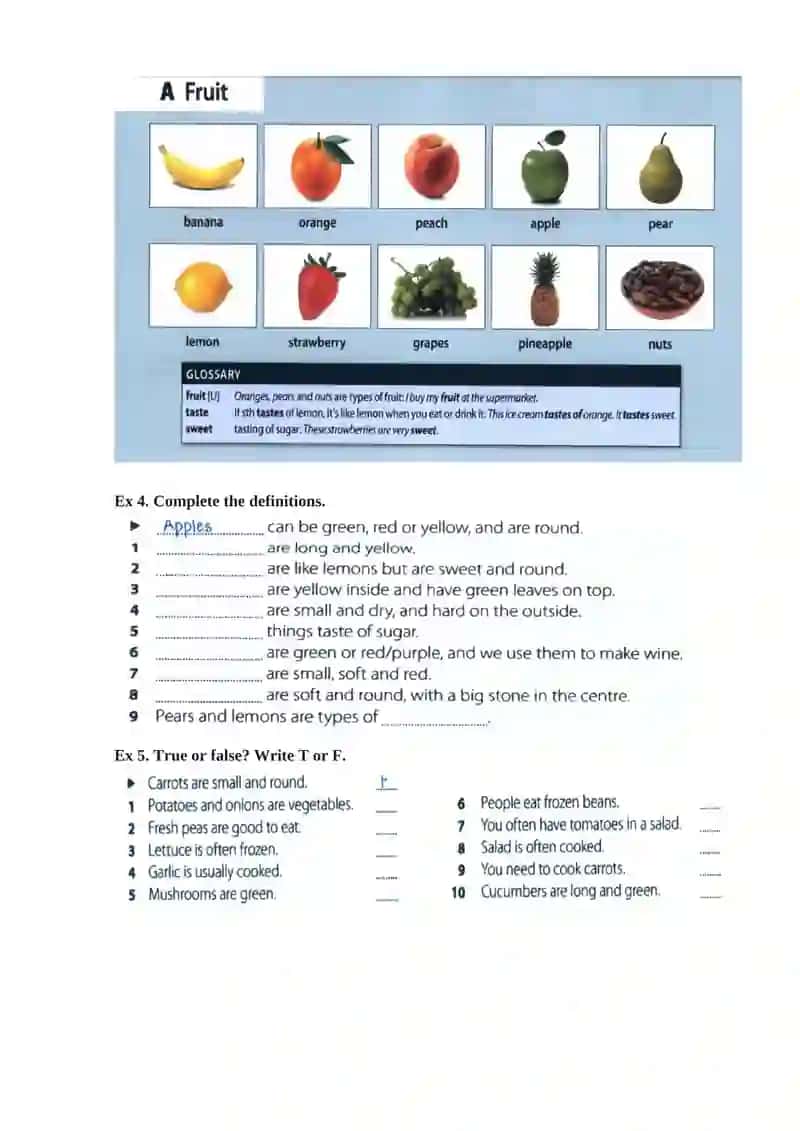 FOOD AND VEGETABLES 3