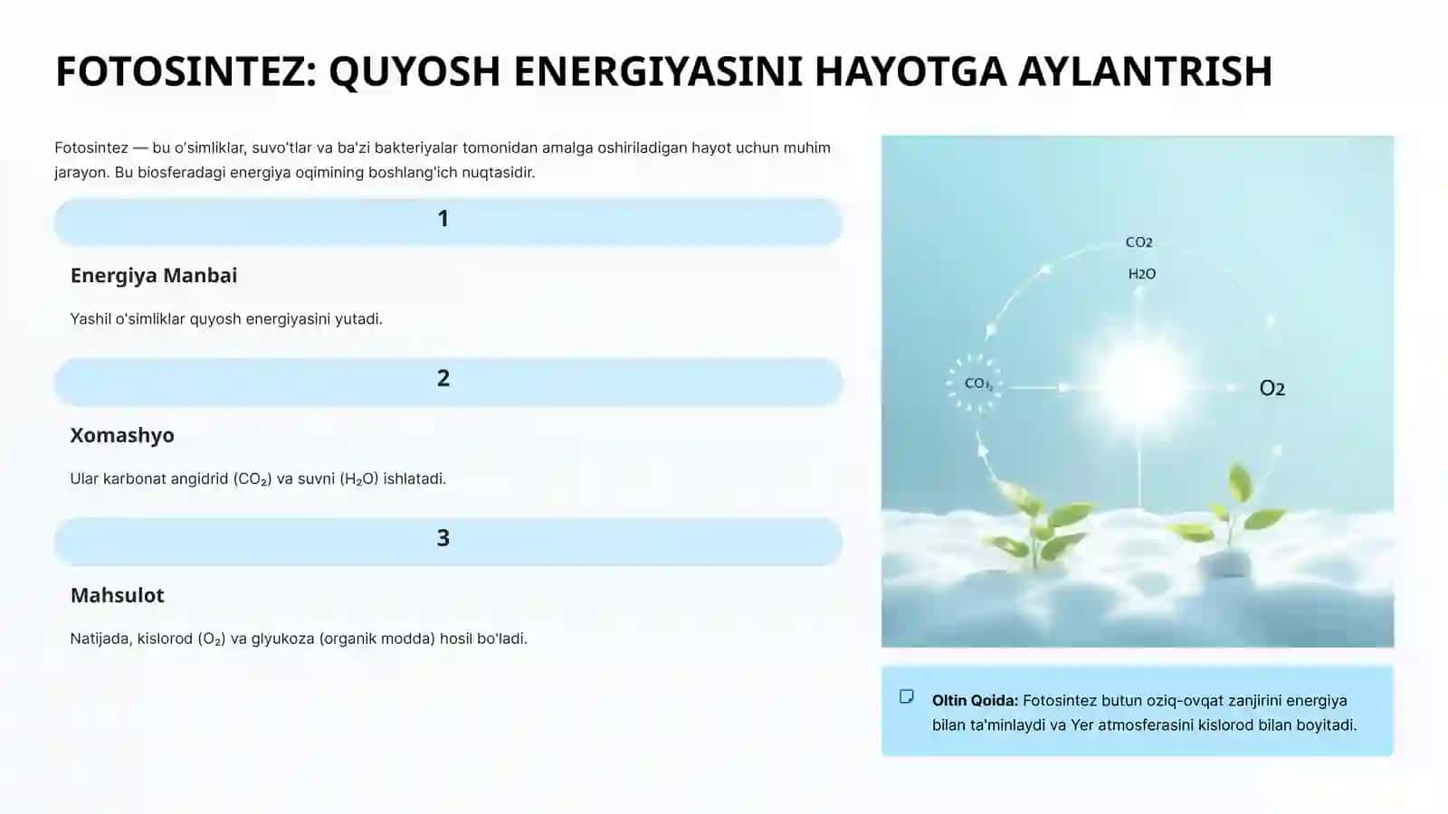 BIOSFERADA ENERGIYA VA MODDALARNING AYLANMA HARAKATI 3