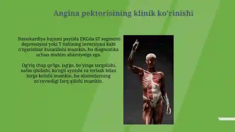 Yurak-qon tomir tizimi kasalliklarining klinik ko'rinishlari 3