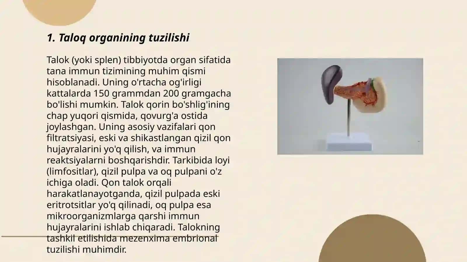 Taloq organi va uning fiziologik xususiyatlari 3