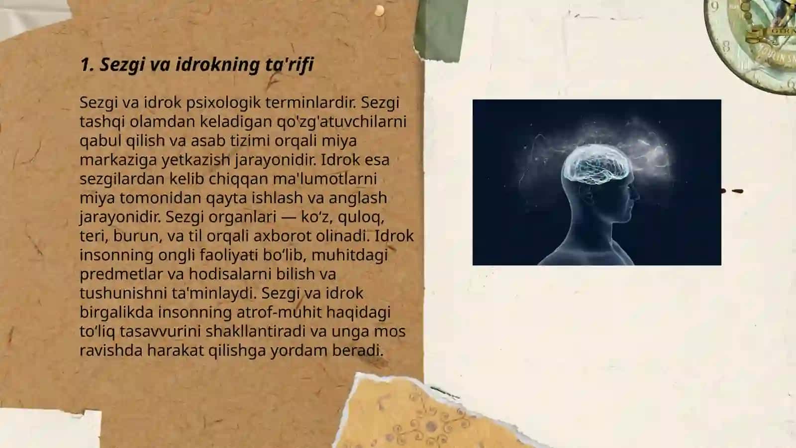 Sezgi va idrokning psixologik mohiyati, fiziologiyasi 3