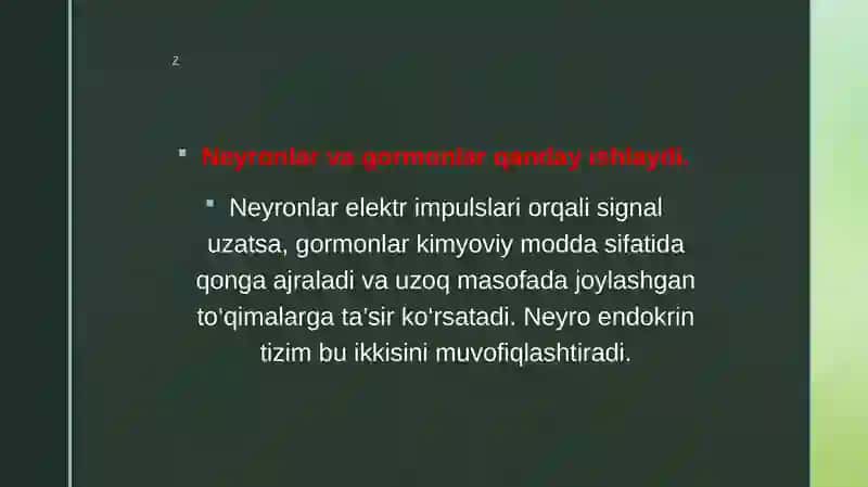 Neyroendokrintizimining struktur va funksional tavsifi 3