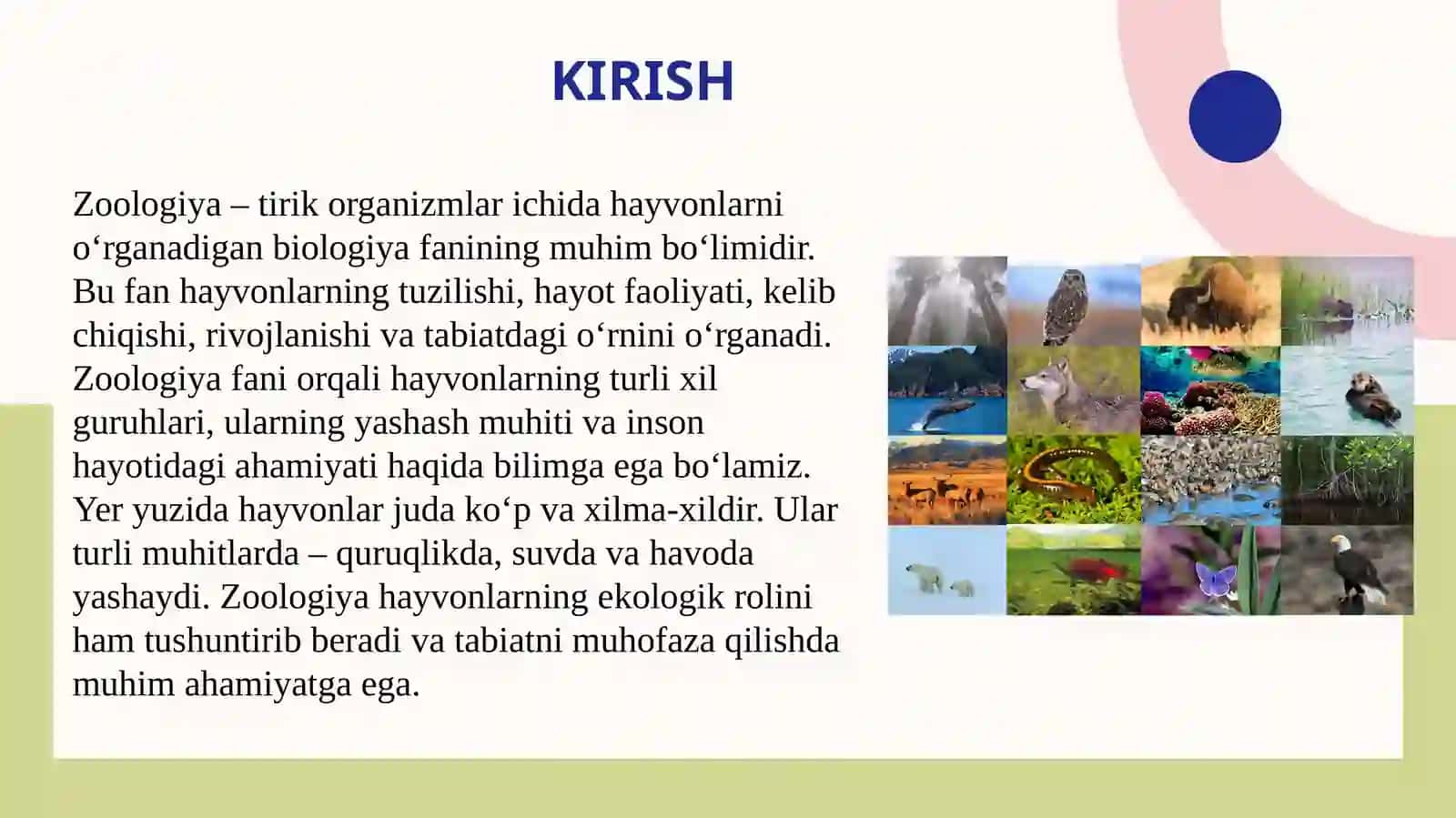 Zoologiya faniga kirish. Еukаriоt organizmlaning olti katta olami 3