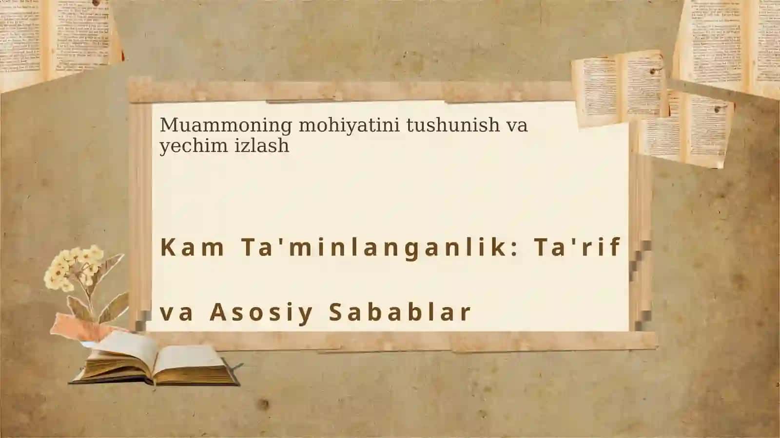 Kam taminlanganlik tushunchasi va uni oldini olish mexanizmlari 3
