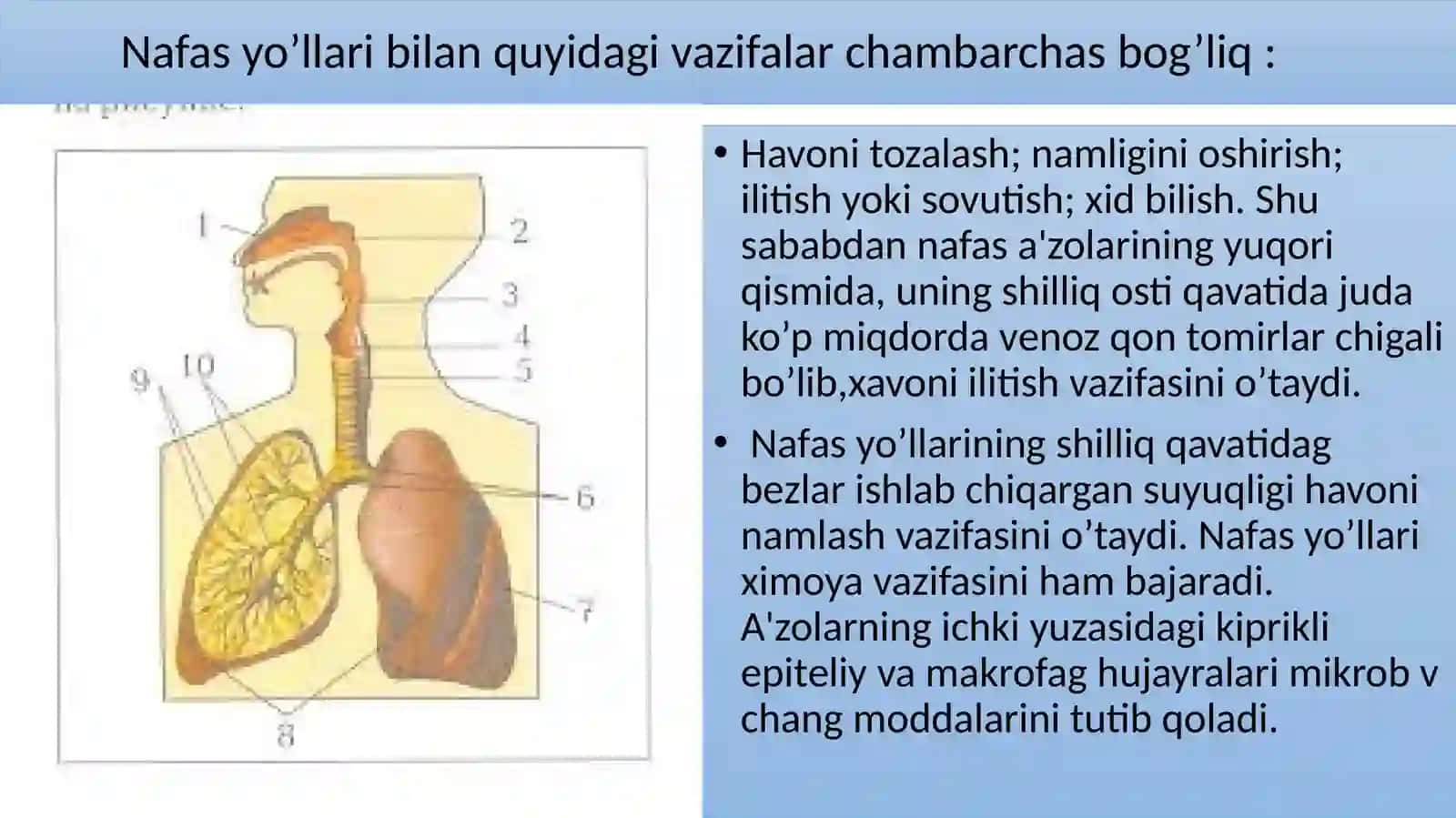 Ayiruvvanafastizimlariningyoshxususiyatlarivagigiyenasi 3