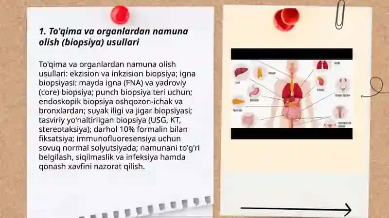To'qima va organlardan namuna olish (biopsiya) usullari 3
