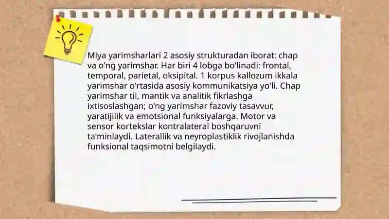 Miya yarimsharlarining funksional tafovutlari va ularni hisobga olishda pedagogning roli 3