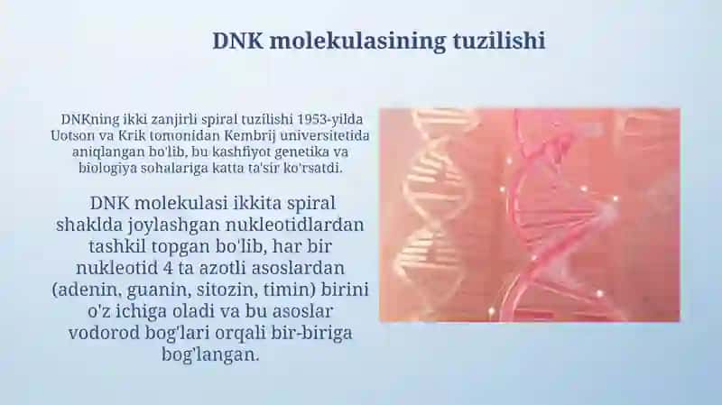DNK molekulasining genetik axboratini va irsiy belgilarini saqlanadigan oʻrni 3