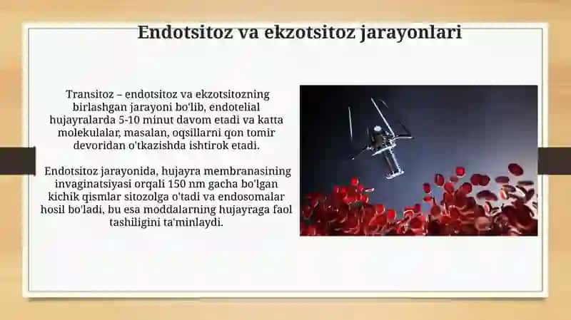 Qon tomirlari orqali moddalar almashinuvining Biofizikaviy Mehanizmi 3
