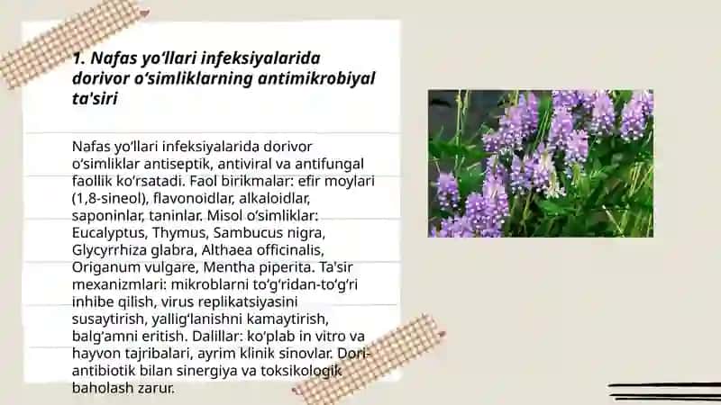Nafas yoʻllari kasalliklarida va mikroblarga qarshi dorivor oʻsimliklar 3