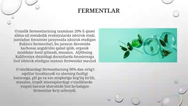 Oʻsimliklarning kimyoviy tarkibi 3