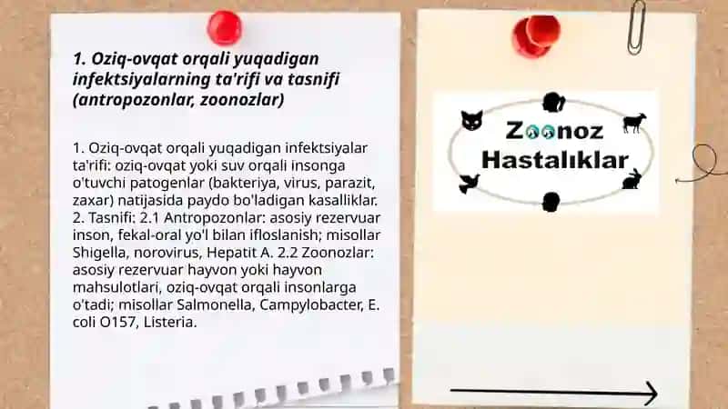 Oziq-ovqat yuqadigan infektsiyalar (antropozonlar, zoonozlar) 3