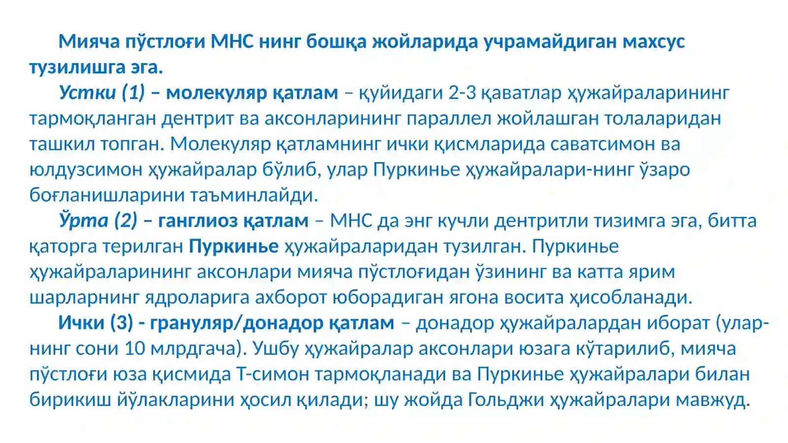 Markaziy asab tizimining fiziologiyasi 3