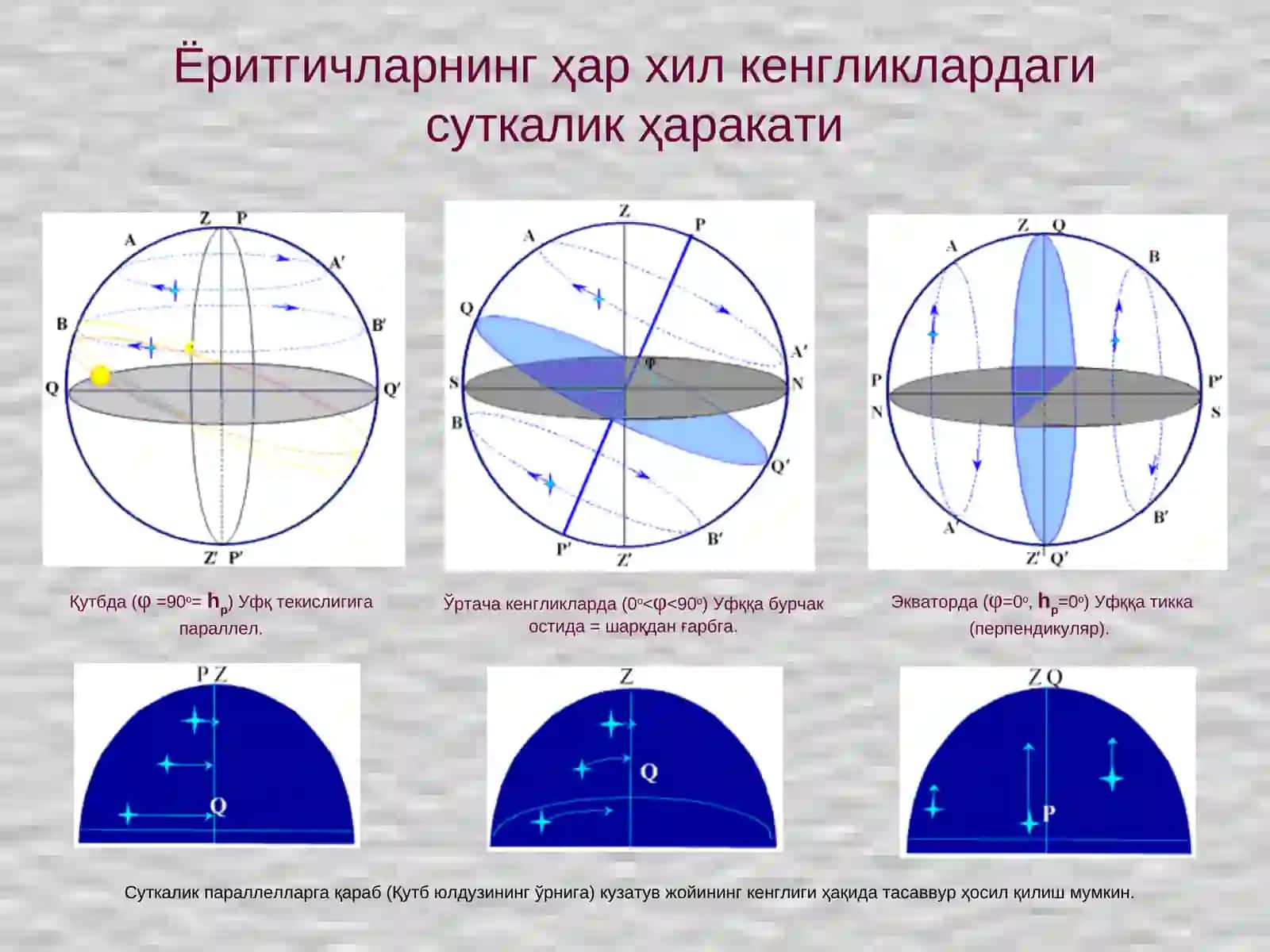 Олам қутбининг горизонтдан баландлиги(hp)кузатув жойининг географик кенглигига тенг(φ) 3