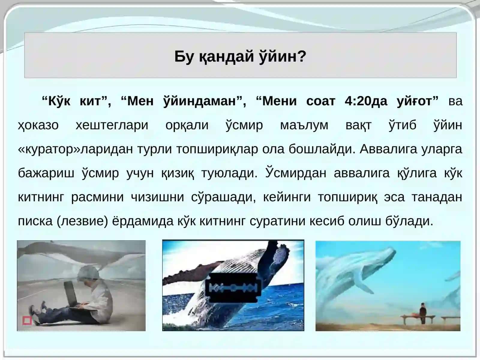 "Кўк кит" 3