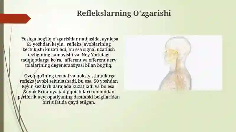 Periferik nerv sistemasining yoshga qarab oʻzgarishi 3