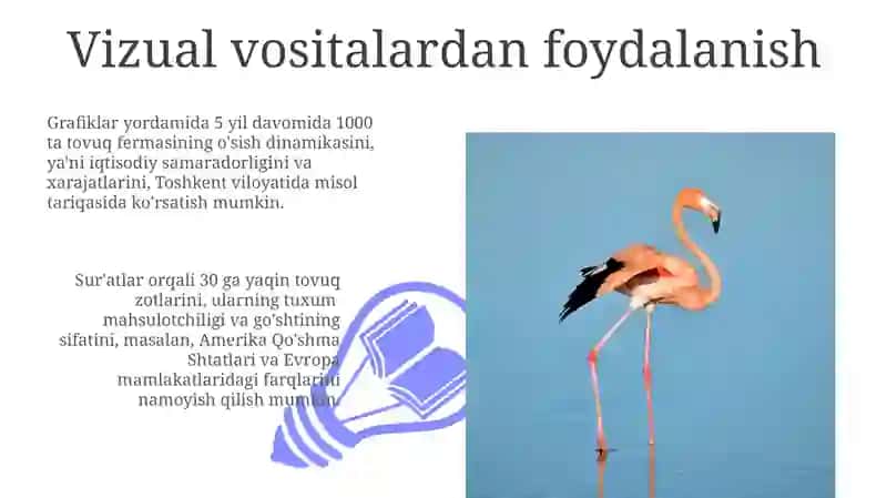 Tovuqchilik bo'yicha taqdimot tayyorlash usullari 3