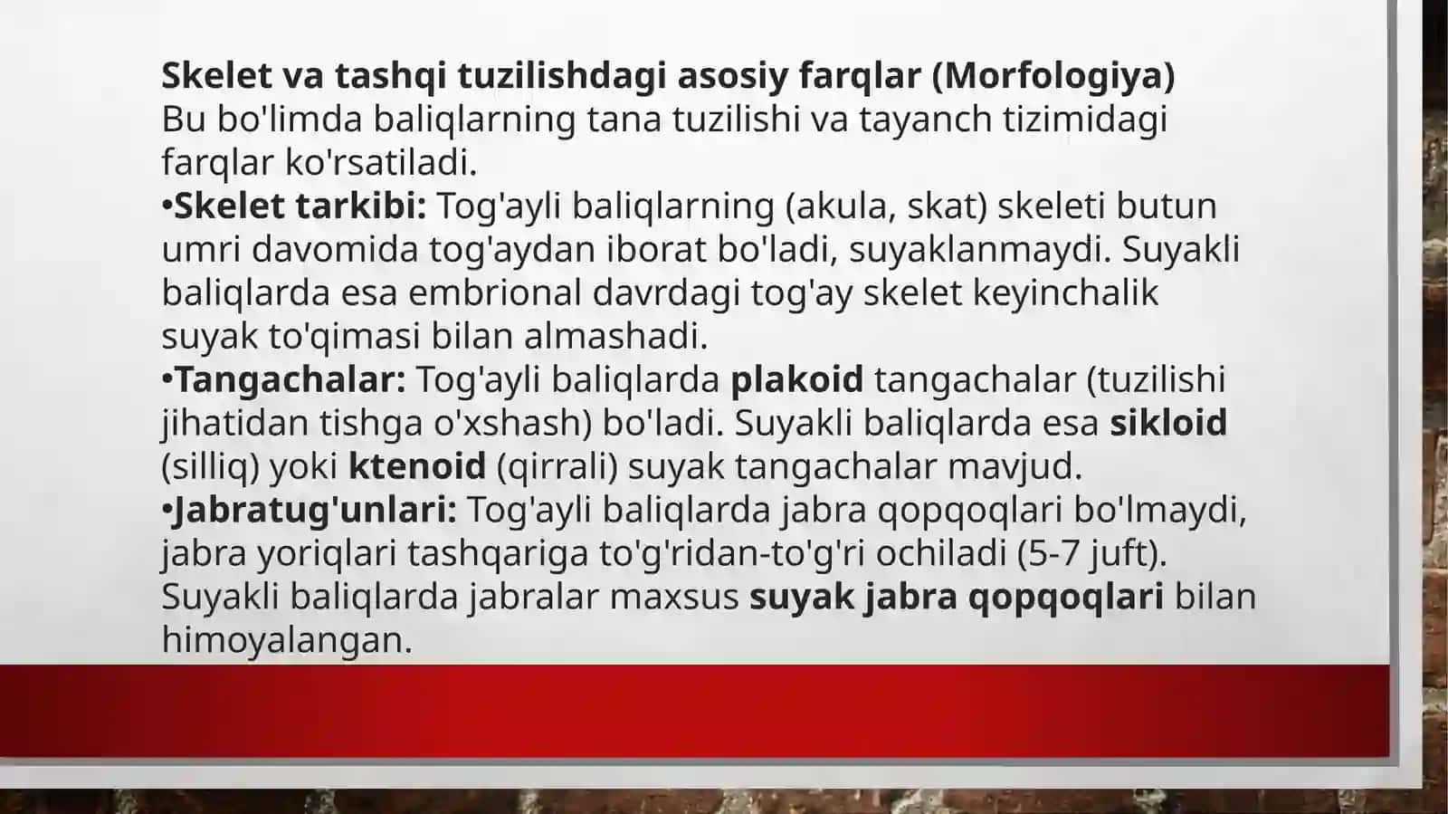 Tog’ayli va suyakli baliqlarning morfologik va fiziologik xususiyatlariga qiyosiy tavsiyf 3