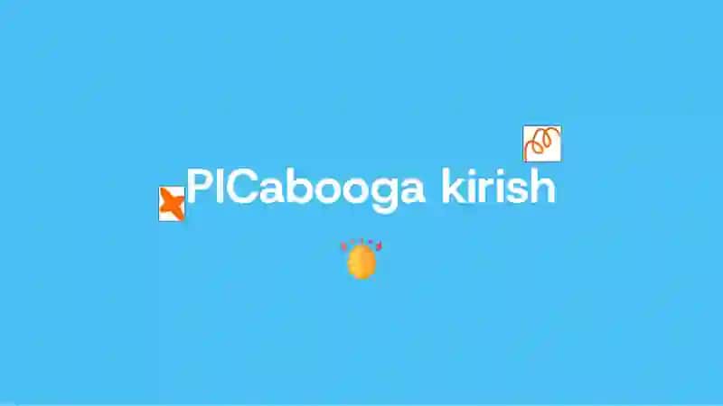 PICaboo darsi uchun qo'llanma 3