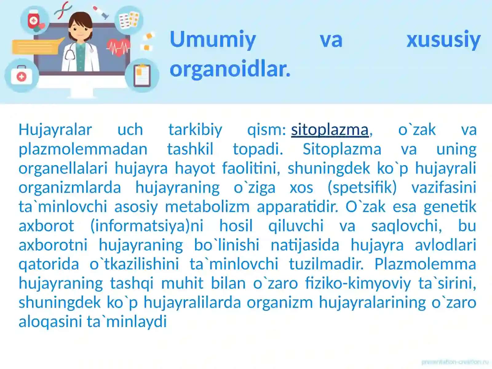 Organoidlarning tuzilishi va funksiyasi 3
