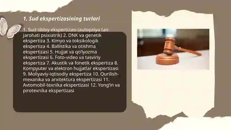 Sud ekspertizasi 3