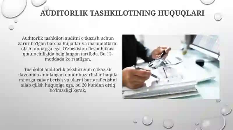 Auditorlik tashkilotining huquqlari majburiyatlari va javobgarligi 3