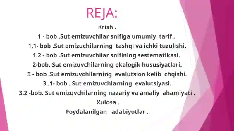 Zoologiya fanidan kurs ishi taqdimoti 3