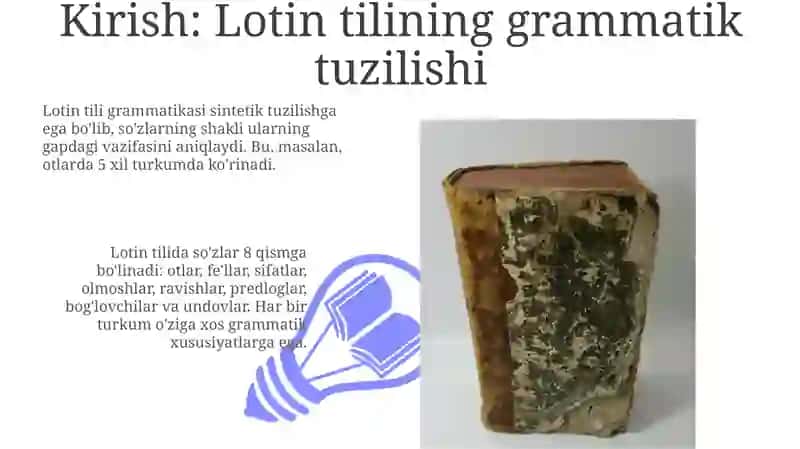 Lotin tilidagi grammatik kategoriyalar 3