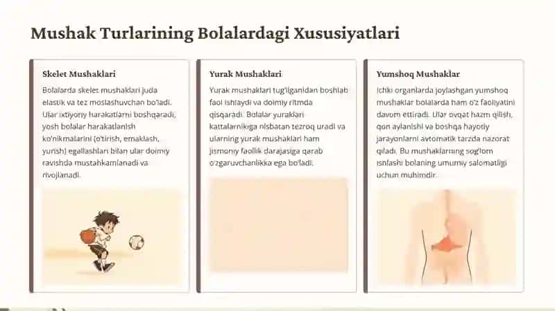Bolalarda mushak tizimini anatomo-fiziologik hususiyatlari 3