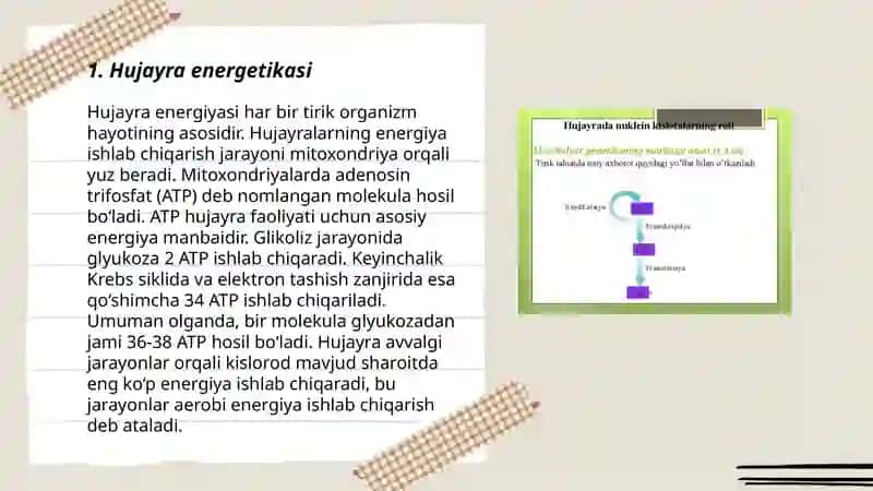 Hujayrada moddalar energiya va malimotlar oqimi 3