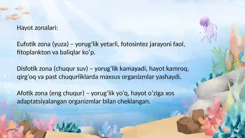 Dunyo okeanining biomi
Yer yuzasini florastik va faunistik rayonlashtirish 3