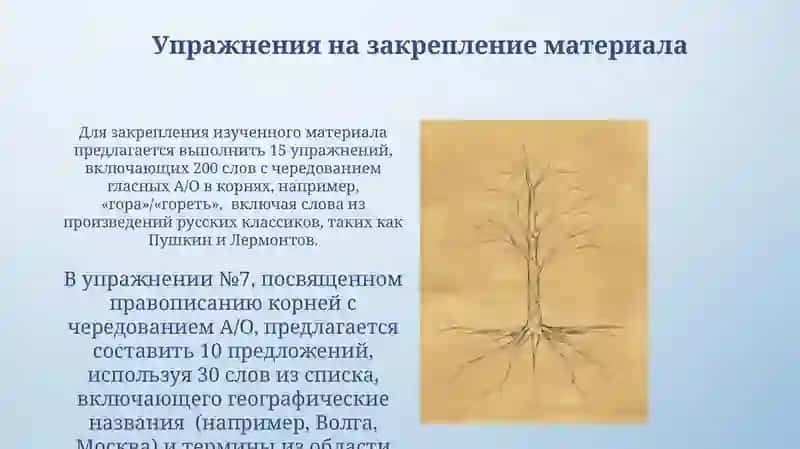 Чередование гласных в корнях слов. Правописание корней чередованием а/о 3