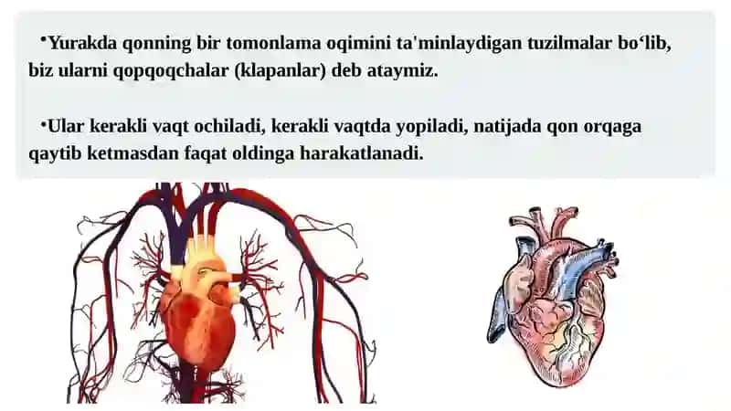 YURAK TONLARI 3