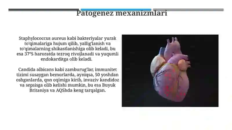 Yurak qon tomir sistemasiga taʼsir qiluvchi mikroorganizmlar, patogenez, labaratoriya tashxisi 3