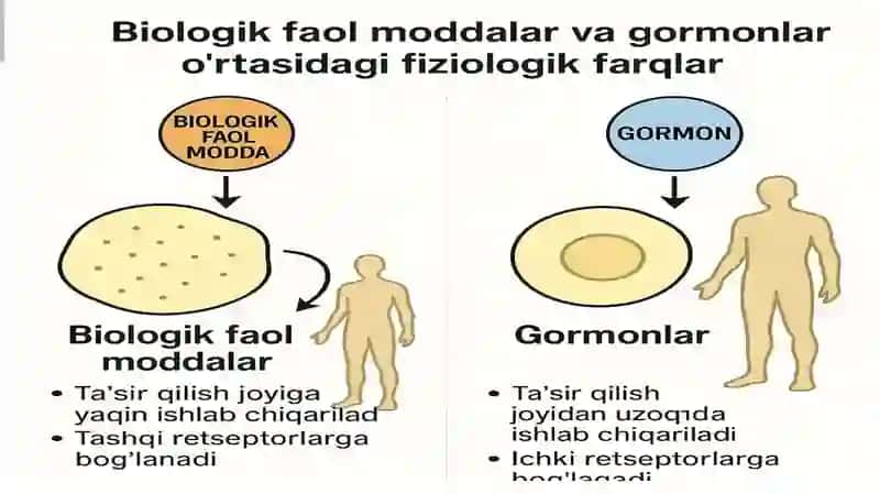 Biologik faol moddalar va gormonlarning bir biridan fizologik farqlari 3