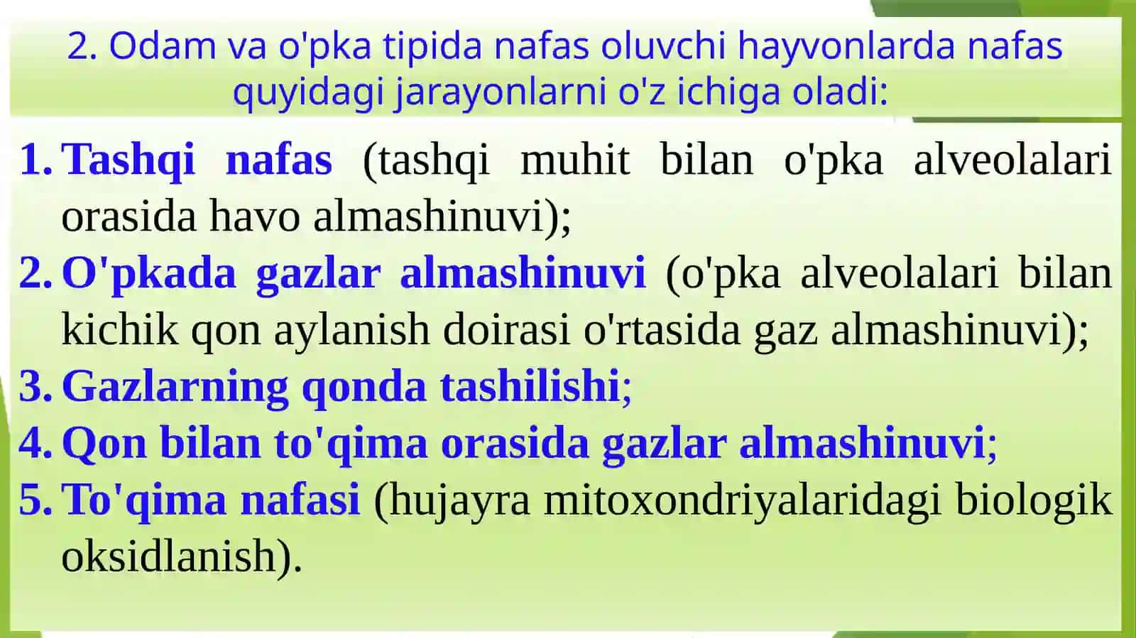 Nafastizimlarining yosh xususiyatlari va gigiyenasi 3