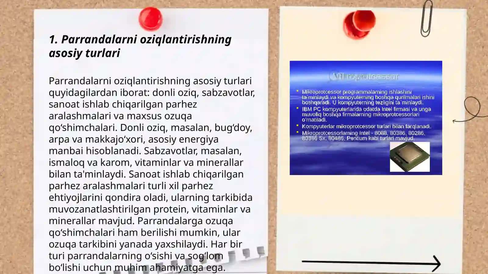 Parrandalarni oziqlantirishda qo‘llaniladigan qo‘shimcha ozuqalar tayyorlash, parrandalarni oziqlantirishdagi mohiyati va zahirasini o‘rganish 3